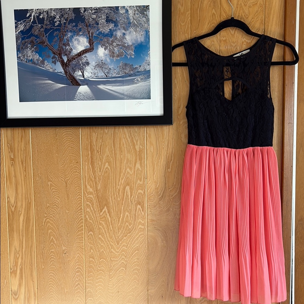 Black Lace and Coral Pleated Dress